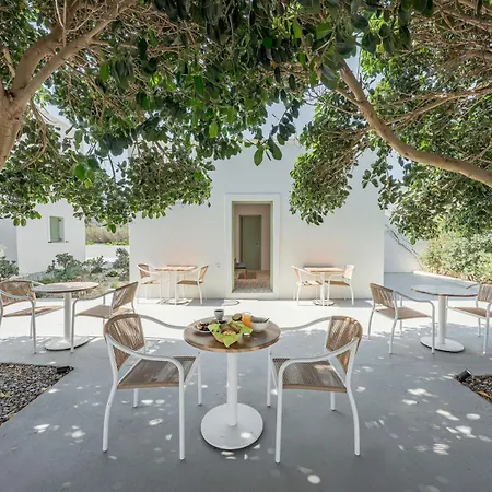 Apart-hotel Ambeli Perivolos (Santorini)